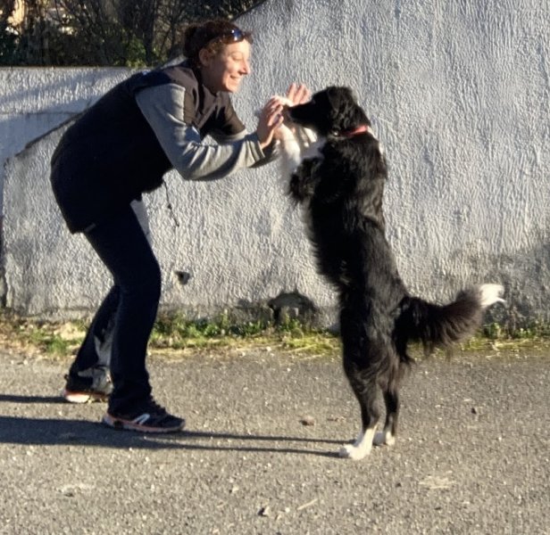 Les Apprentis Sages Canins - Grenoble - photo 3
