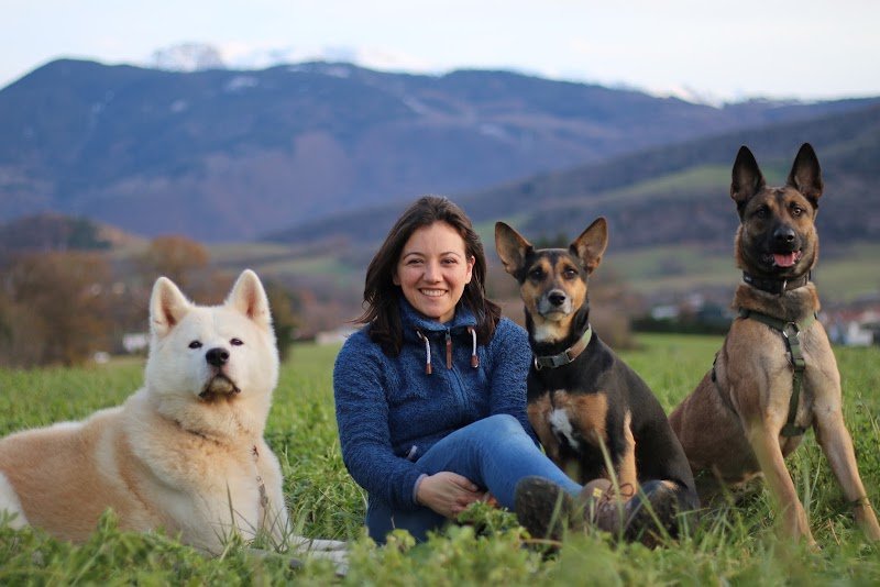 Educ-inu - Éducateur canin - Grenoble & Grésivaudan - photo 2
