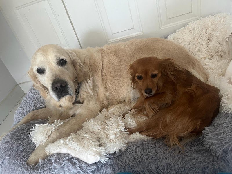 Educateur Pasapattes - photo 1