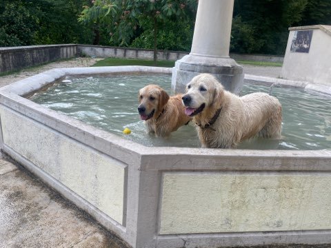 Educateur Pasapattes - photo 3