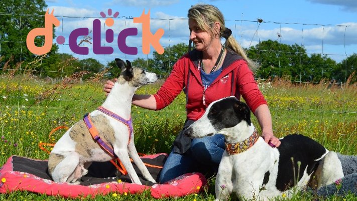 Dclick comportement canin/équin/toilettage - photo 1