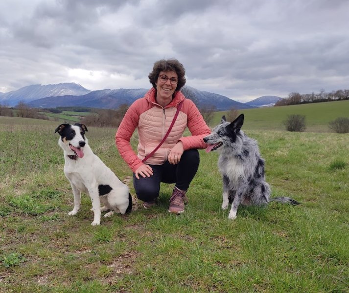 Dog Déclic - Éducateur canin et comportementaliste pour tous les chiens : Bourgoin-Jallieu - photo 2