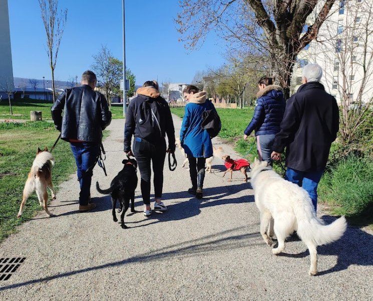 Dog Déclic - Éducateur canin et comportementaliste pour tous les chiens : Bourgoin-Jallieu - photo 3