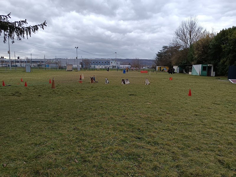 Club Canin Berjallien - photo 1