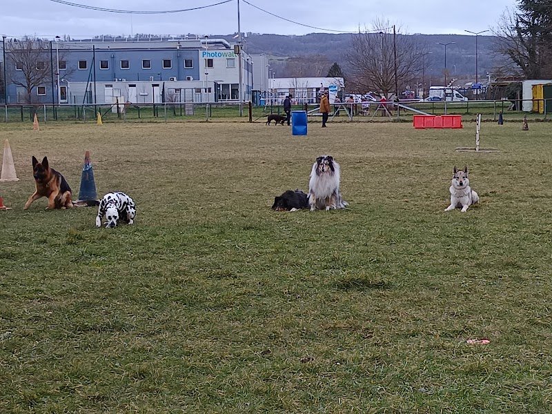 Club Canin Berjallien - photo 2