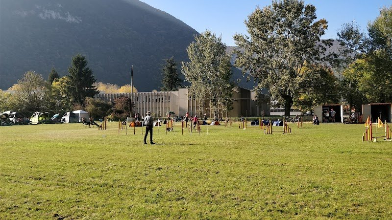 Club Canin Sous le Massif Vercusien - photo 2