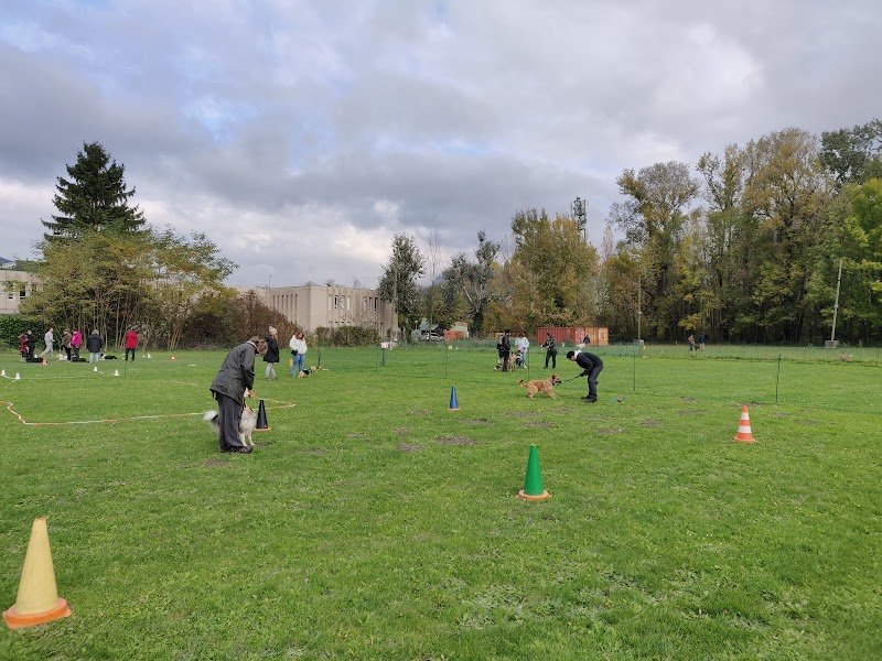 Club Canin Sous le Massif Vercusien - photo 3