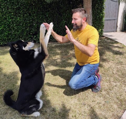 Educateur Canin Cyril Rouzeau - photo 2