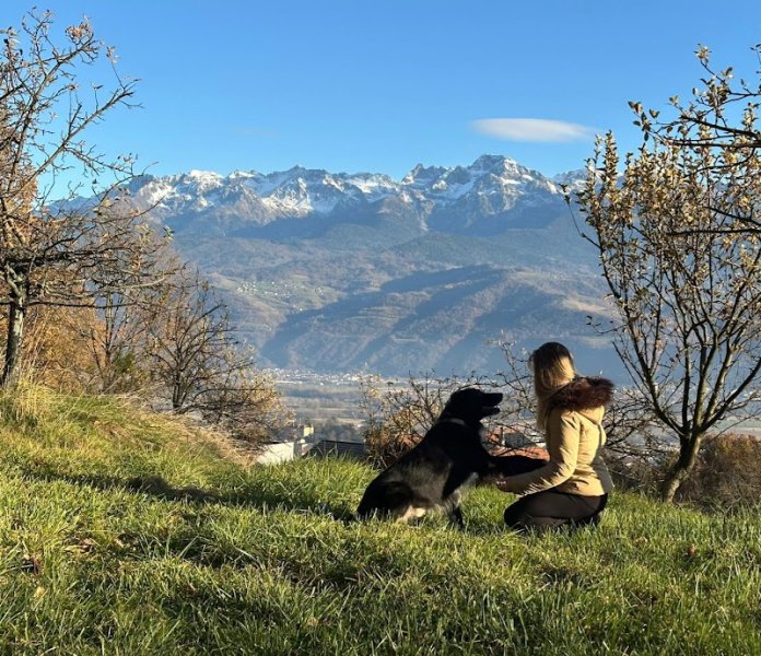 Entre Maître et Chien - Éducatrice comportementaliste canin