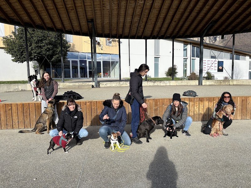 Dog's addict - Educateur canin à Grenoble - photo 2