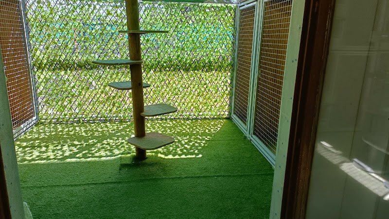 Une Vie de Chien - photo 2