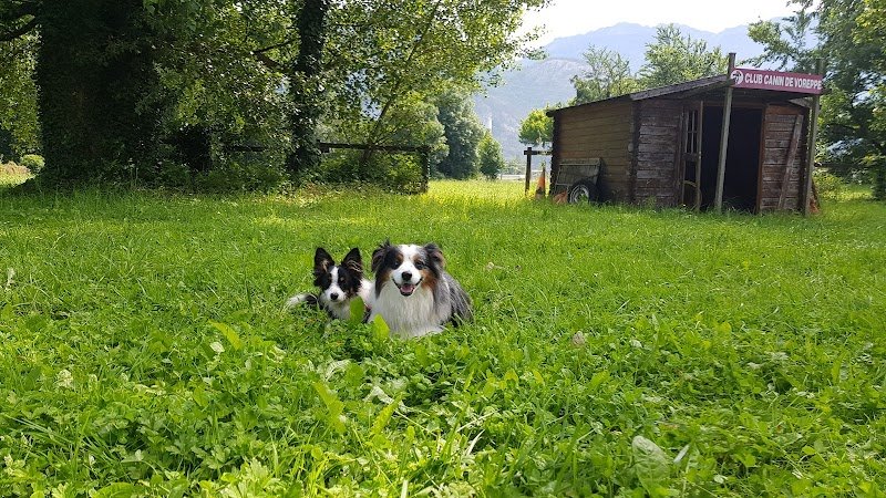 Club Canin de Voreppe - photo 1