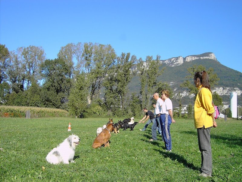 Club Canin de Voreppe - photo 2