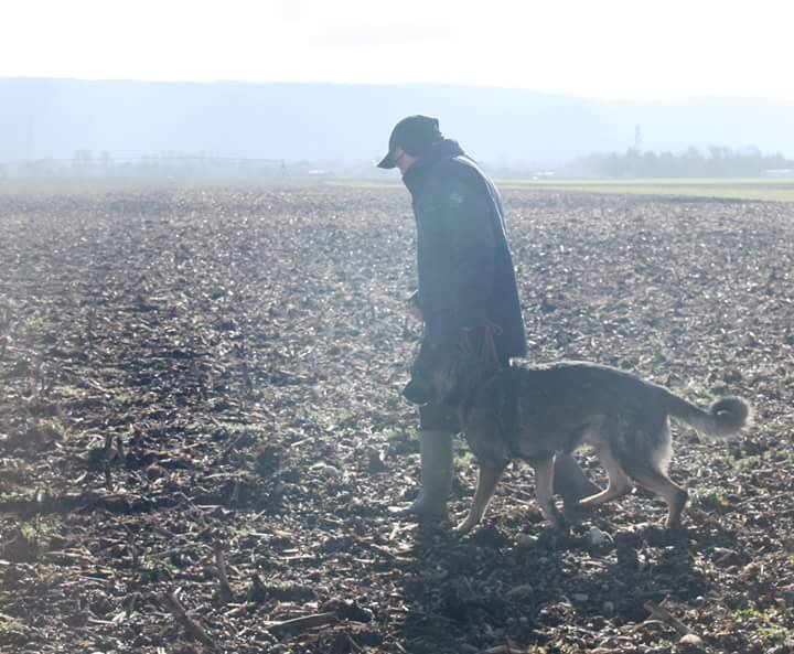 Club Canin de Voreppe - photo 3