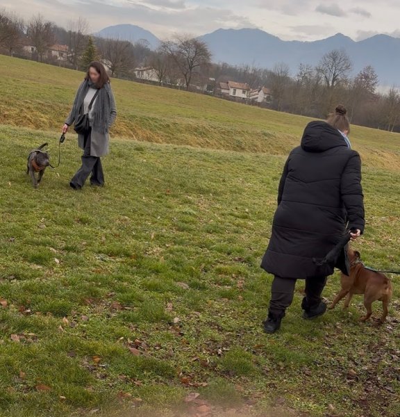 MINDDOG - Éducateur canin à Grenoble - photo 3