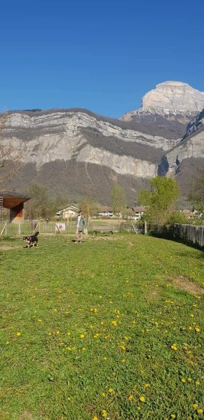 Caracteres de chien - photo 1