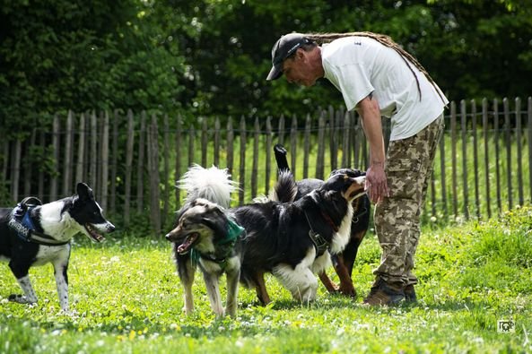 Caracteres de chien - photo 2