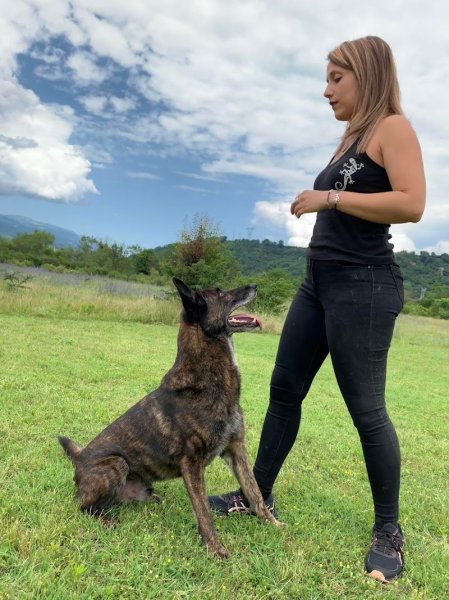 Angélique Daloiso - Accompagnement Bien-Être pour les humains et les animaux - Educateur canin - photo 3