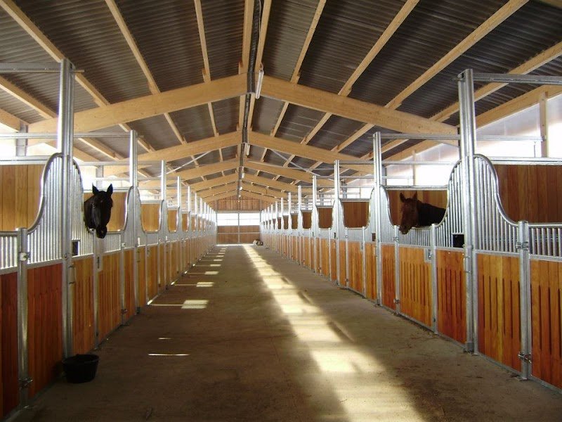 Ecole de Dressage du Grésivaudan - photo 2