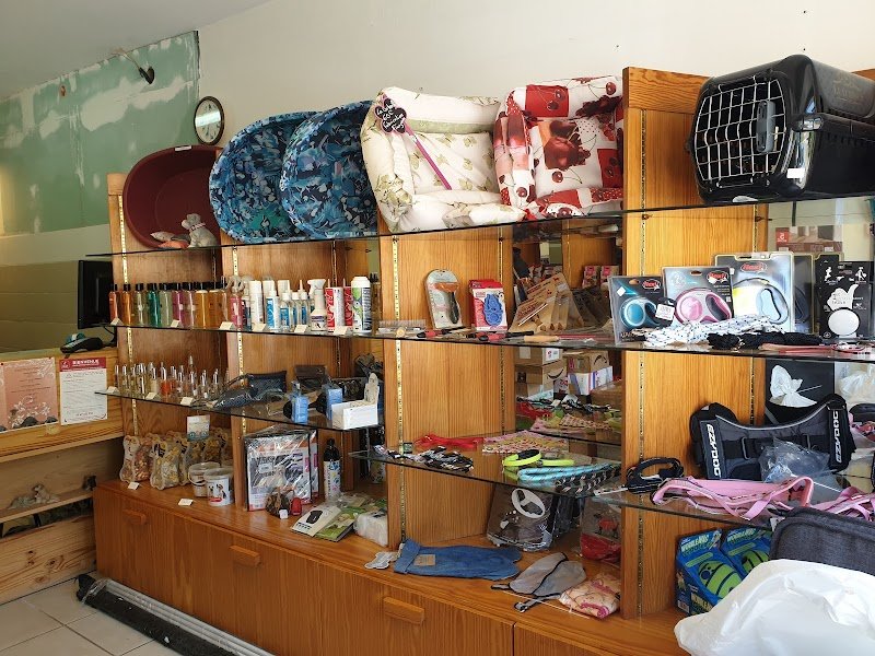 Au Bonheur des Chiens - photo 3