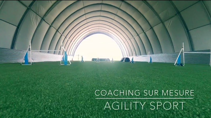 Agility Sport - photo 1