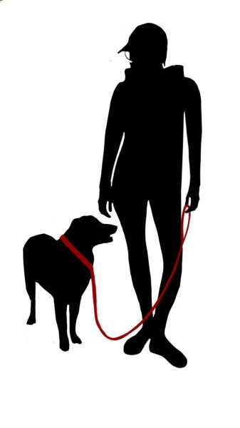 Parle-moi chien, éducation canine-Isère - photo 1