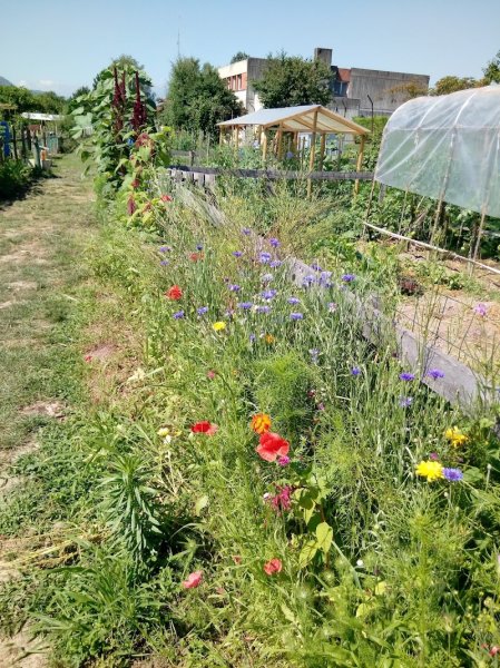 Club Canin du Versoud - photo 1