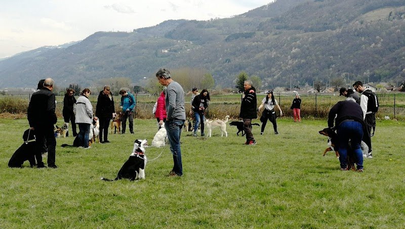 Club Canin du Versoud - photo 3