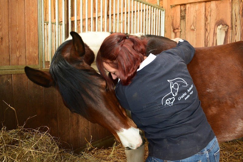 Shiatsu Équin et Canin - Jennifer Meyer - photo 2