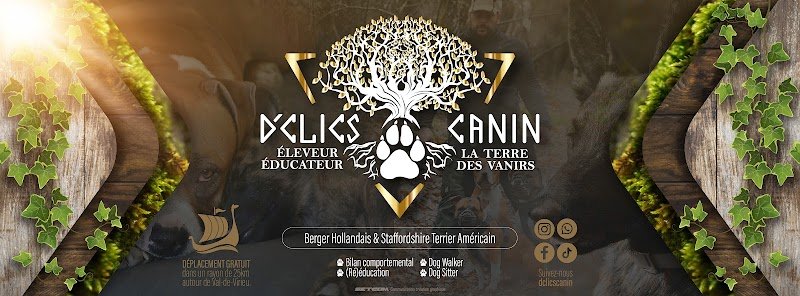 D'clics Canin - photo 1