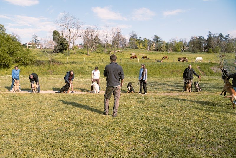 La Patte du Gier - Educateur canin comportementaliste