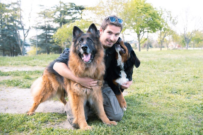 La Patte du Gier - Educateur canin comportementaliste - photo 2