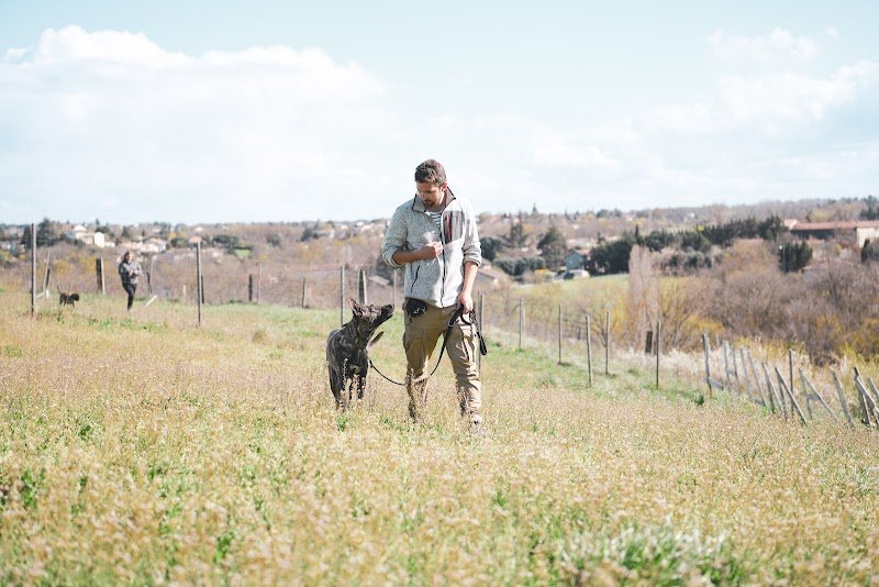 La Patte du Gier - Educateur canin comportementaliste - photo 3