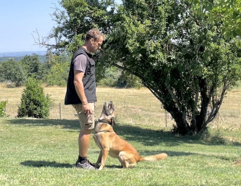 GODOG Éducation canine - photo 1