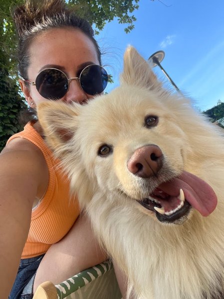 Les Ateliers Canins - photo 3