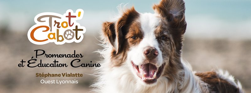 Trot'Cabot - Educateur Comportementaliste Canin