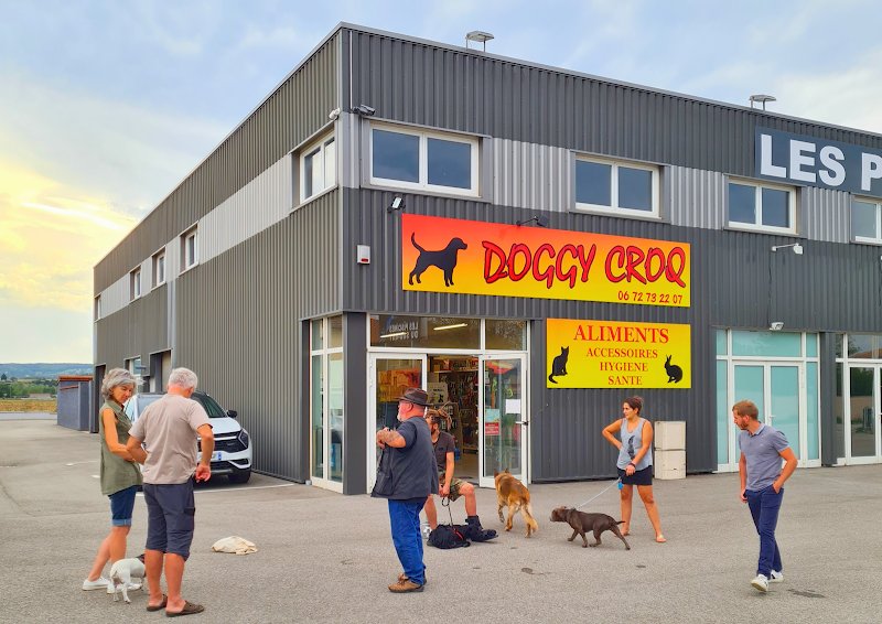 DOGGY CROQ - photo 1