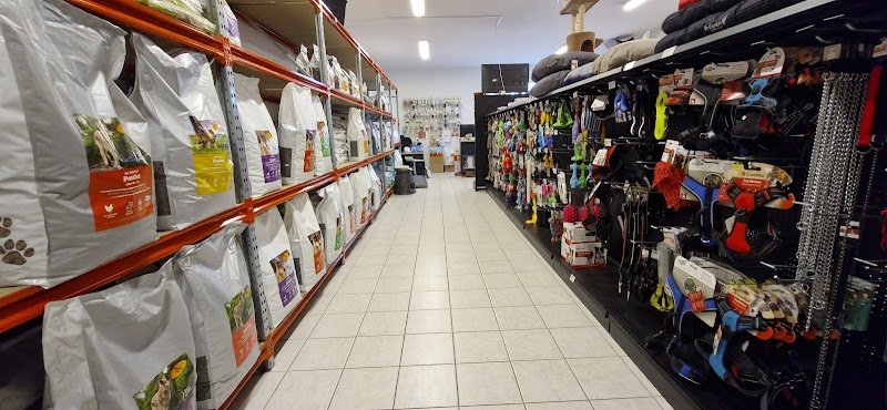 DOGGY CROQ - photo 2