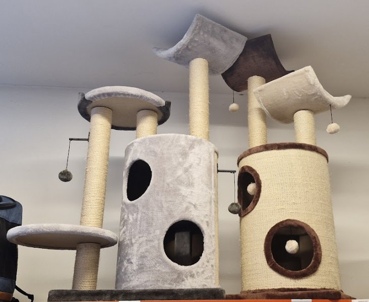 DOGGY CROQ - photo 3