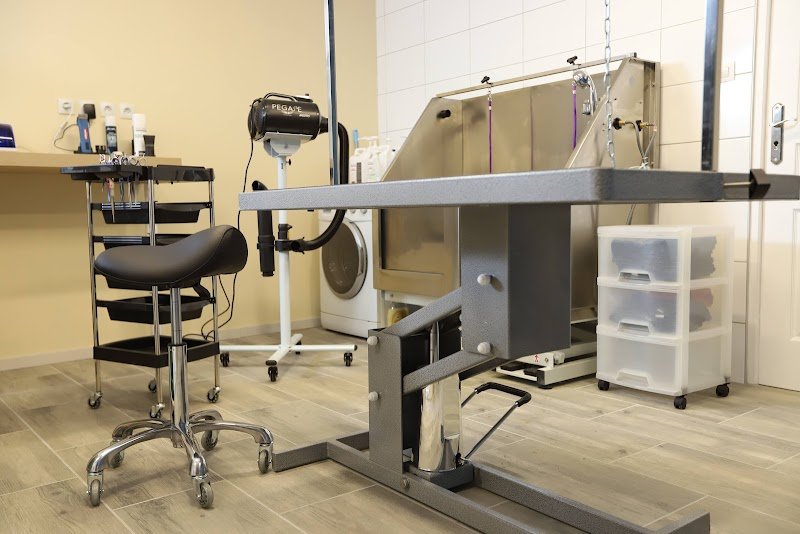 Paus'canine - photo 3