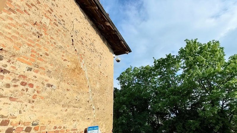 Espace Chiens - photo 2