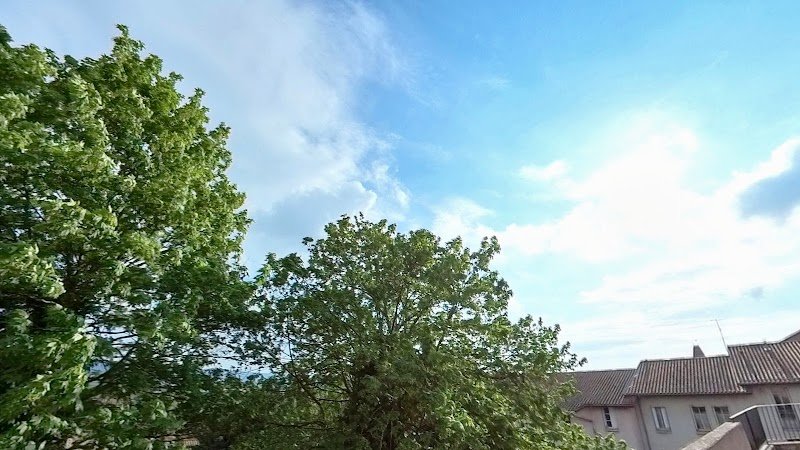 Espace Chiens - photo 3