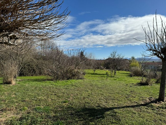 Mon chien à moi - photo 3