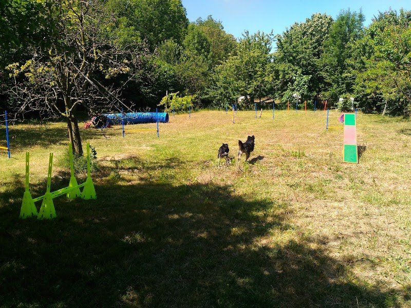 Vie De Chien - photo 1