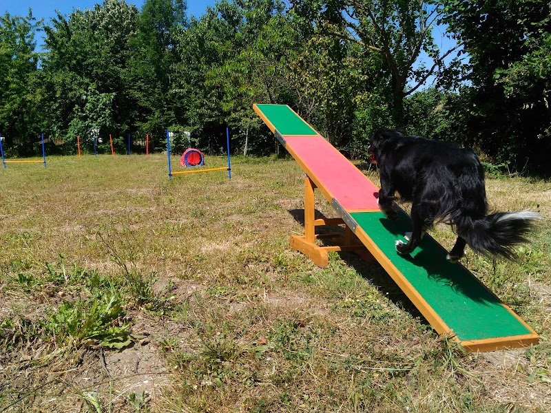 Vie De Chien - photo 2