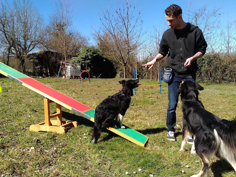 Vie De Chien - photo 3