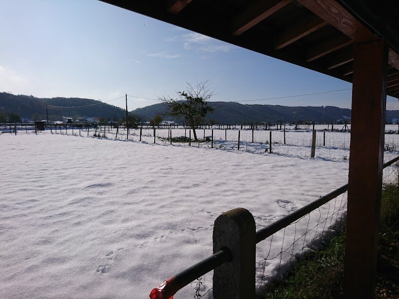 Club canin Côtois - photo 1