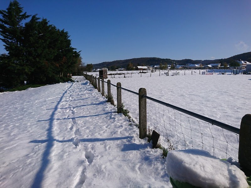 Club canin Côtois - photo 2