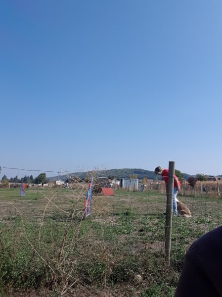 Club canin Côtois - photo 3