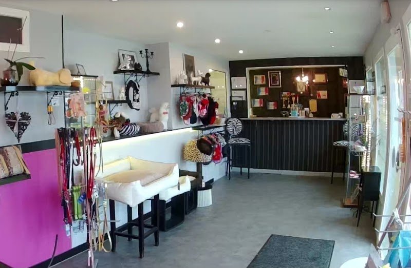 Indiana Dog - photo 3